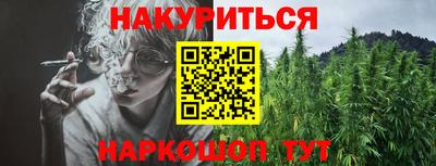 шишки Новокубанск