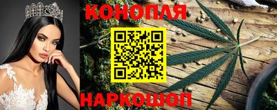 тгк Новодвинск