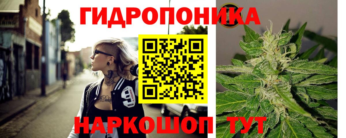 Бошки марихуана конопля  Бошки Шишки марихуана  Марихуана план  Вход с VPN  Карталы 